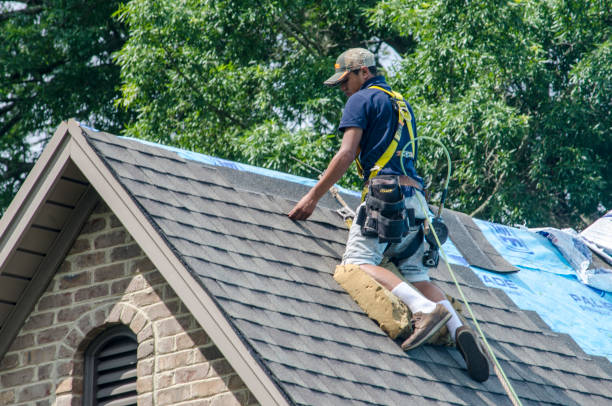 Best Storm Damage Roof Repair  in Eagleville, PA